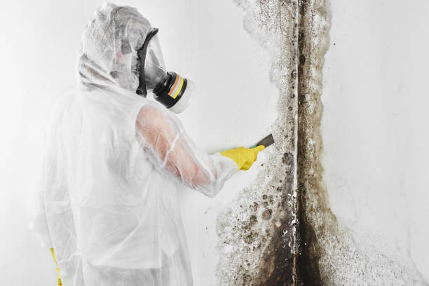 Best Biohazard Mold Removal  in Lake Mohegan, NY